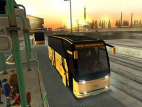 Bus Driver
