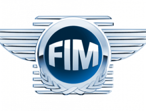 FIM logo