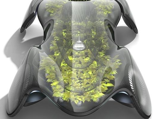 Design - Michal Vlček fotosyntetické auto