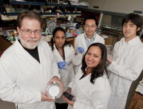 lithium-iontové baterie - křemík nanopóry vědci tým