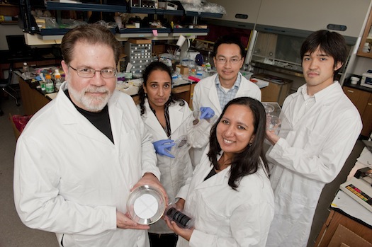 lithium-iontové baterie - křemík nanopóry vědci tým
