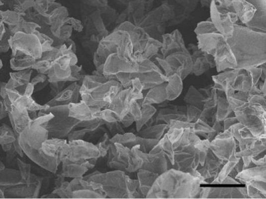 Grafenové nano struktury uvnitř elektrody - mnohasetnásobné zvětšení pomocí elektronového mikroskopu