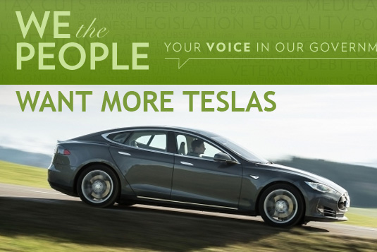auto we want teslas