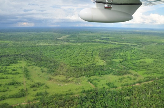 auto Peugeot ONF amazonský prales uhlíkový rezervoár