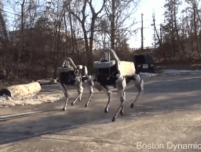 auto robopes robot Google Boston Dynamics