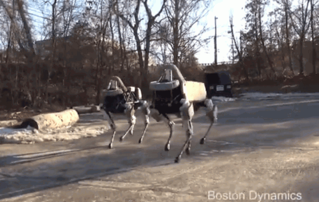 auto robopes robot Google Boston Dynamics