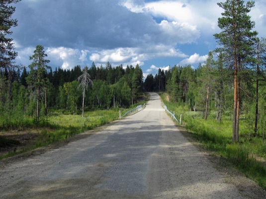 auto Finsko lesy cesta