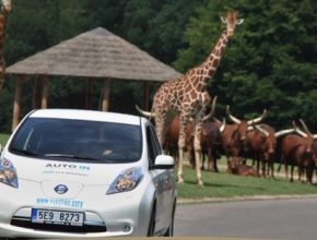 zoo-dvur-kralove-safari-elektromobil-nissan-leaf