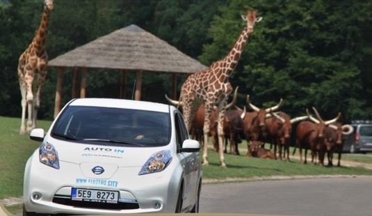 zoo-dvur-kralove-safari-elektromobil-nissan-leaf