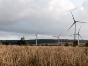 Mezi hlavní globální přínosy přechodu na obnovitelné zdroje patří 24 milionů nových pracovních příležitostí, úspora 28 bilionů dolarů ročně za škody, které by vznikly v důsledku změn klimatu a také zabránění 4-7 milionům předčasných úmrtí ročně, které by vyvolaly důsledky spalování fosilních paliv.