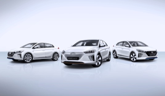 Women’s World Car of the Year je jediným oceněním automobilů na světě, které udělují pouze ženy. Porota je složená z 25 novinářů z 20 různých zemí. Ze seznamu 420 vozů vybíraly členky poroty do užšího finále 60 nejlepších. Poté v tajném hlasování přidělovaly jednotlivým modelům body.