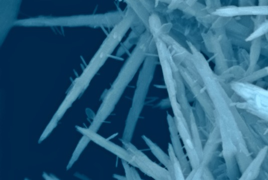 Takto vypadají dendrity zinku vyrostlé na zinkové anodě alkalické baterie zobrazené rastrovacím elektronovým mikroskopem.