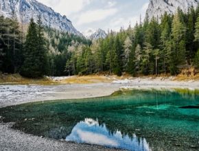 V rakouských lesích zaujímajících téměř polovinu veškerého území státu, dosahují zásoby dřevní hmoty skoro 1,2 miliardy krychlových metrů.
