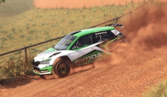 Jednotlivé turnaje seriálu ŠKODA eRally Cup využívají hru DIRT Rally 2.0, pro kterou ŠKODA AUTO poskytuje vývojářům licenci na soutěžní speciál ŠKODA FABIA Rally2. Hráči mohou poměřit své síly na všech platformách, na kterých je tato hra dostupná - tedy Microsoft Xbox One, Sony PlayStation 4 a PC.