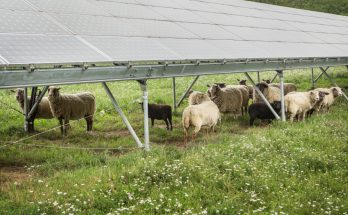 fotovoltaika solární elektrárna