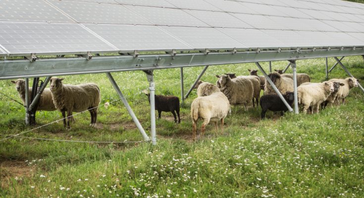 fotovoltaika solární elektrárna