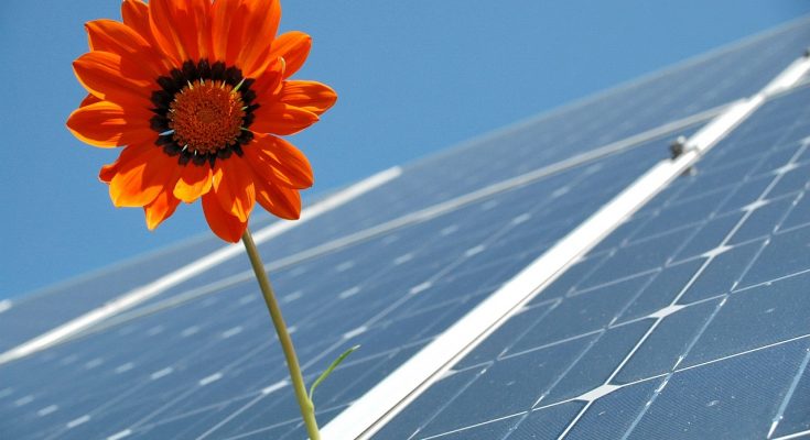 fotovoltaika solární elektrárna
