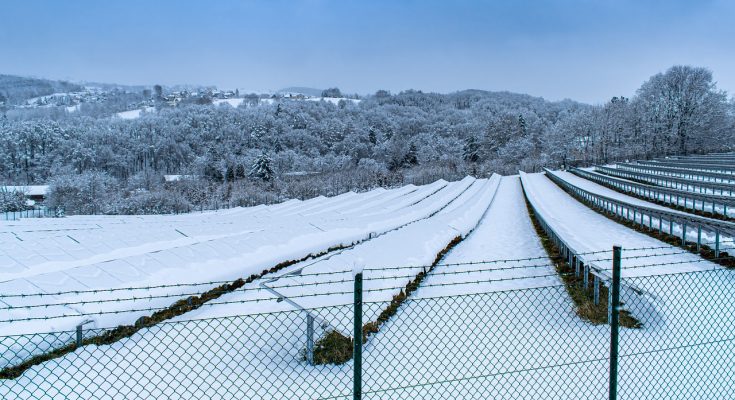 Velká solární elektrárna, jejíž solární panely jsou pokryty sněhem. foto: Coernl, licence Pixabay