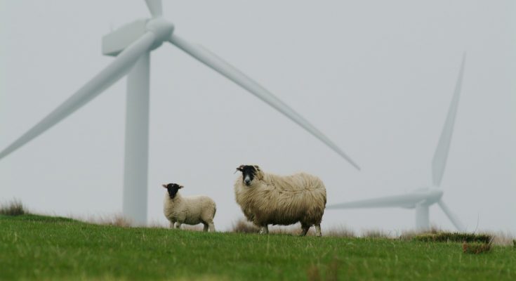 Nová politická situace v Česku s sebou nese i příliš světlejších zítřků co se týká role obnovitelných zdrojů v budoucím energetickém mixu. foto: keepwakin, licence Pixabay