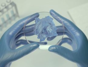 Vyšší účinnost hnacího ústrojí a větší dojezd zajistí měniče nové generace, které využívají technologii karbidu křemíku. Polovodiče Wolfspeed z karbidu křemíku používá od roku 2017 tým Jaguar TCS Racing Formula E. foto: JLR