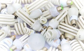 Staré světelné zdroje do běžného komunálního odpadu nepatří! foto: ekolamp