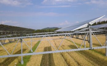 Pilotní agrivoltaika v jihoněmeckém Heggelbachu je na první pohled značně předimenzovaná. Jde ale o zkušební projekt Fraunhoferova institutu. Elektrárna má výkon 194,4 kWp a byla spuštěna v roce 2015. Pod ní se pěstují různé plodiny. Solární panely jsou umístěny 5-8 metrů nad zemí. foto: Tobi Kellner, CC BY-SA 4.0