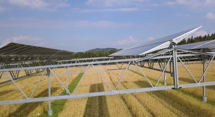 Pilotní agrivoltaika v jihoněmeckém Heggelbachu je na první pohled značně předimenzovaná. Jde ale o zkušební projekt Fraunhoferova institutu. Elektrárna má výkon 194,4 kWp a byla spuštěna v roce 2015. Pod ní se pěstují různé plodiny. Solární panely jsou umístěny 5-8 metrů nad zemí. foto: Tobi Kellner, CC BY-SA 4.0