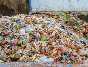 Biologicky rozložitelného odpadu jen v České republice ročně vzniká až 2 miliony tun. foto: EFG